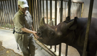 Average-Zookeeper-Salaries