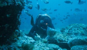 Saturation-Diver-Salaries